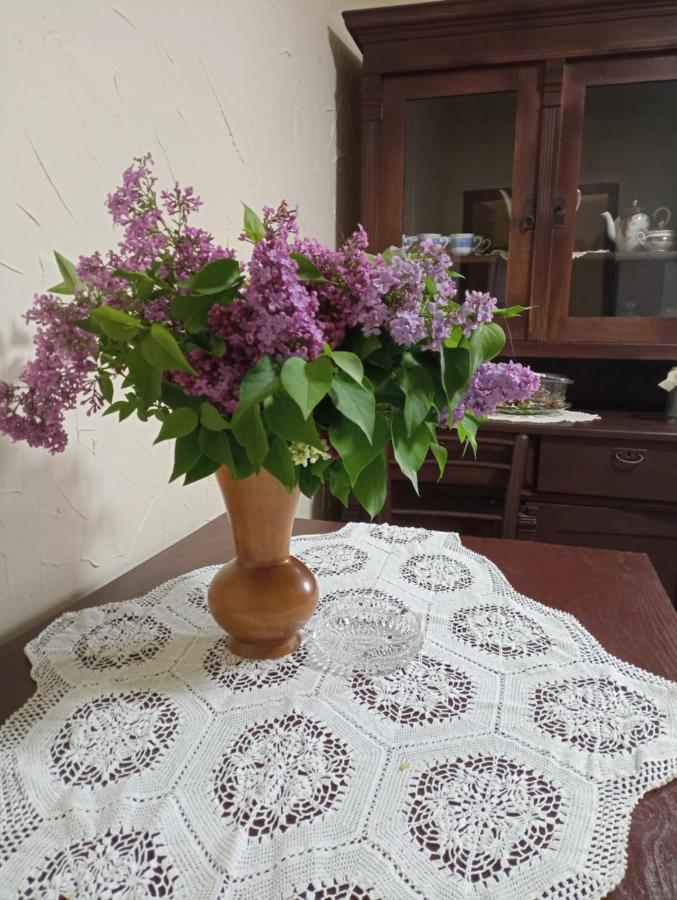 Willa Konaciste Mali Izvor Boljevac Zewnętrze zdjęcie