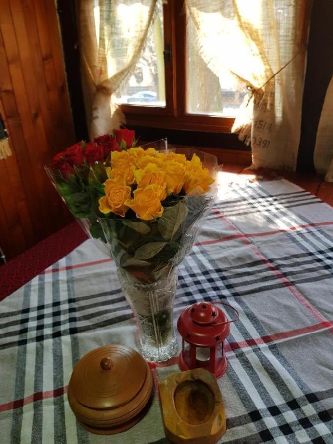 Willa Konaciste Mali Izvor Boljevac Zewnętrze zdjęcie
